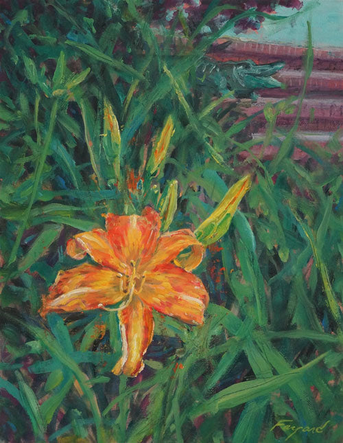 Lily by a Stoop, oil on canvas, 14" x 11" - PaulFayard