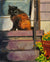 Fall Fur, oil on canvas, 10" x 8" - PaulFayard